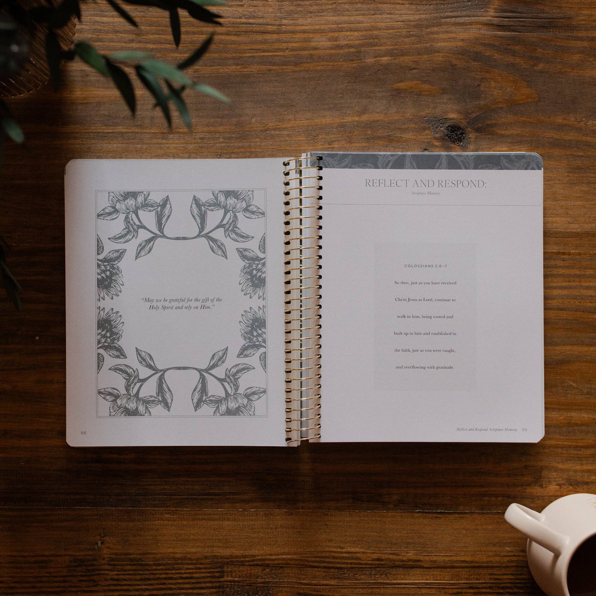 A Year in the Bible | Volume 4 Bible Study