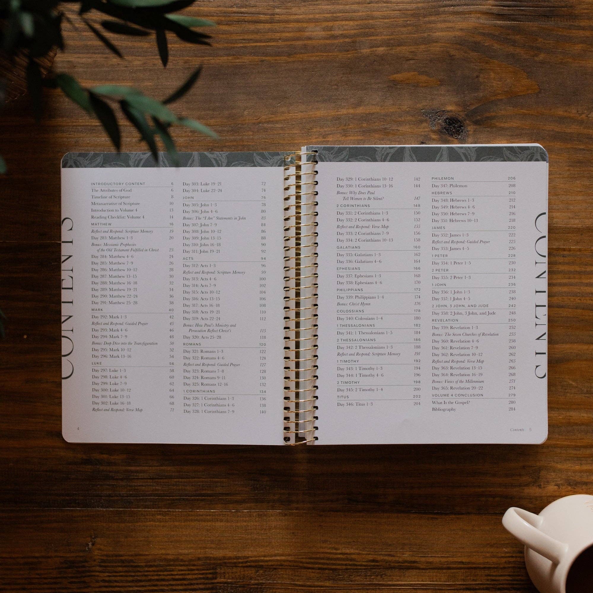 A Year in the Bible | Volume 4 Bible Study