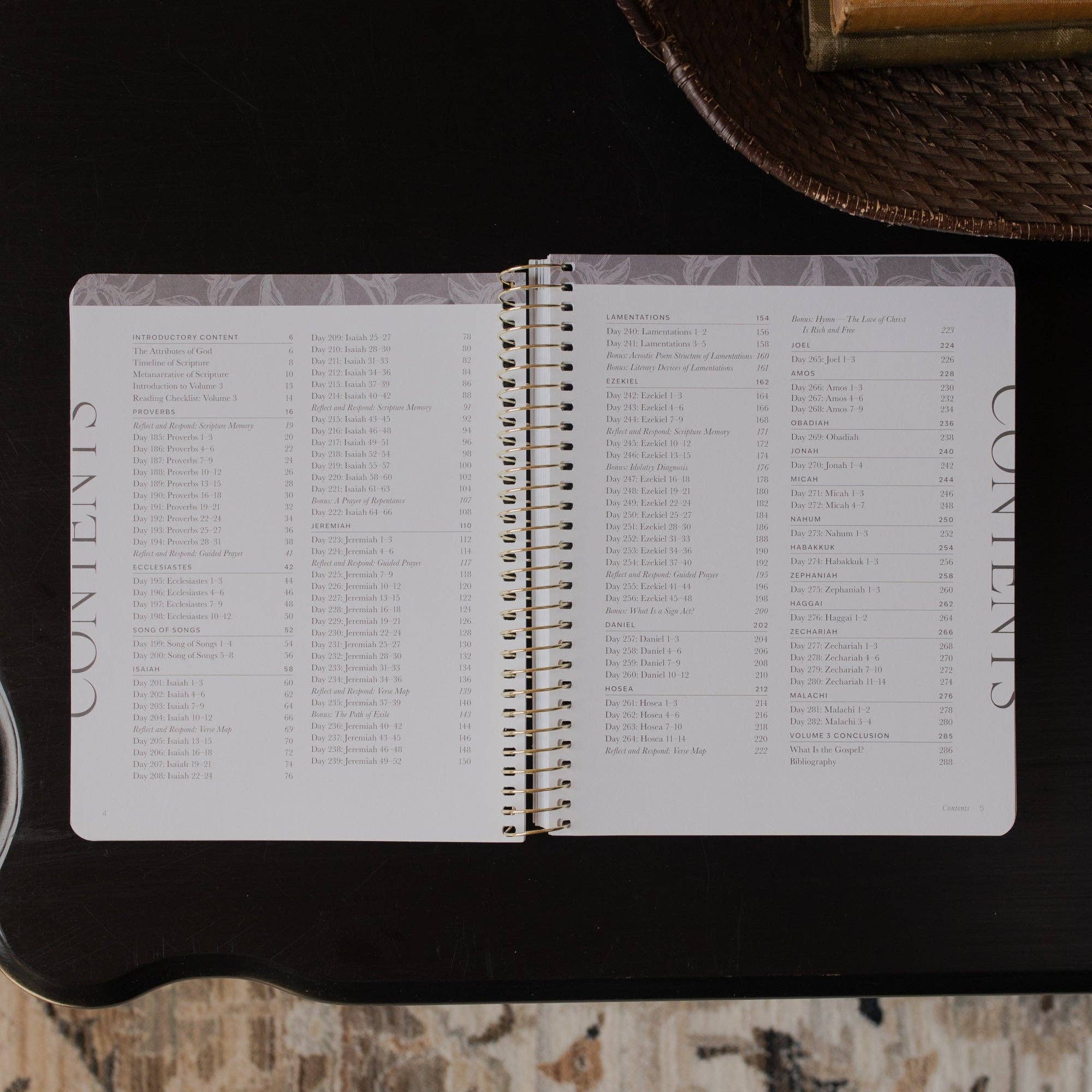 A Year in the Bible | Volume 3 Bible Study